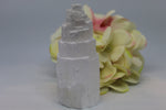 Charger l&#39;image dans la galerie, TOUR DE SELENITE
