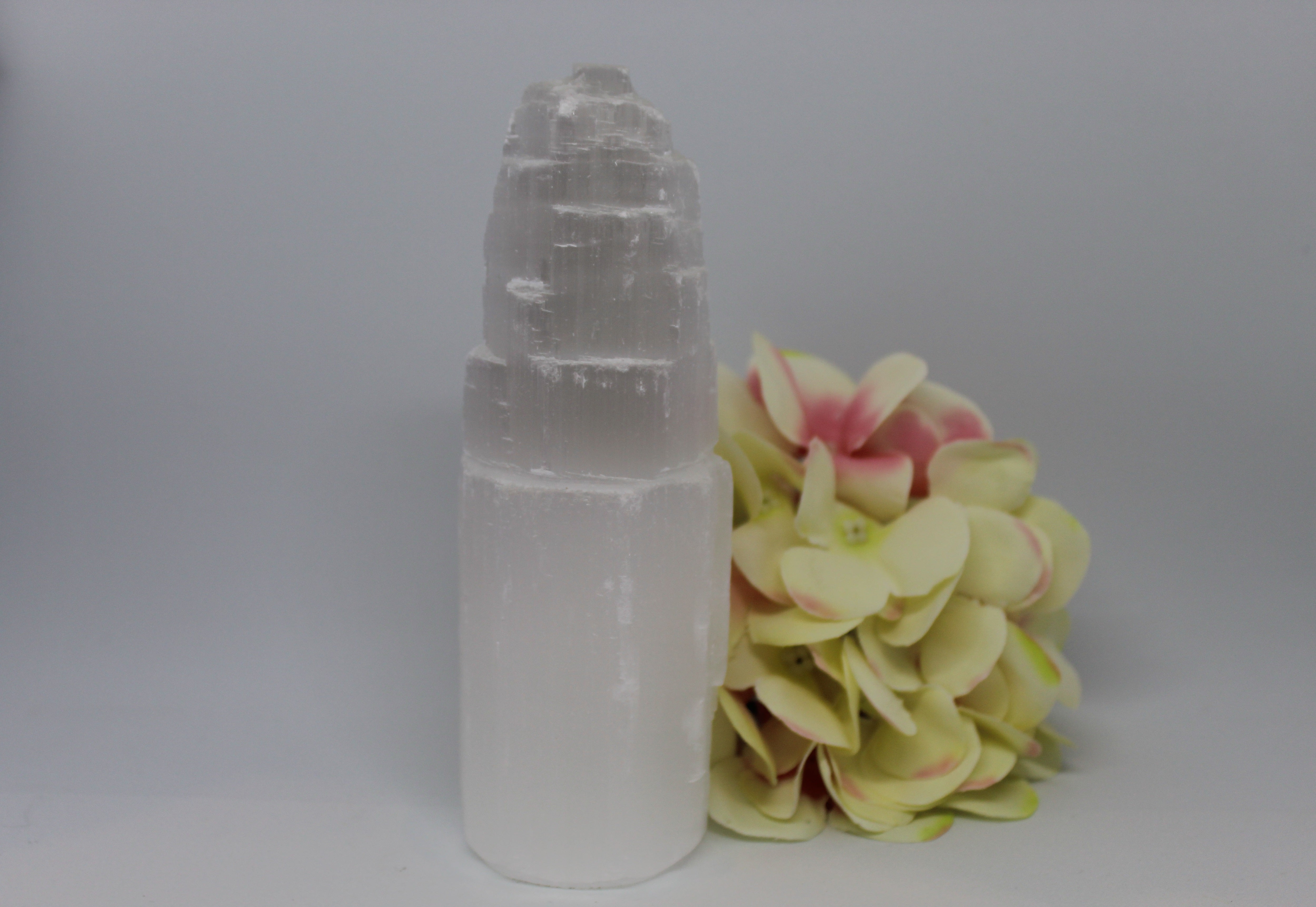 TOUR DE SELENITE