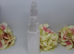 TOUR DE SELENITE